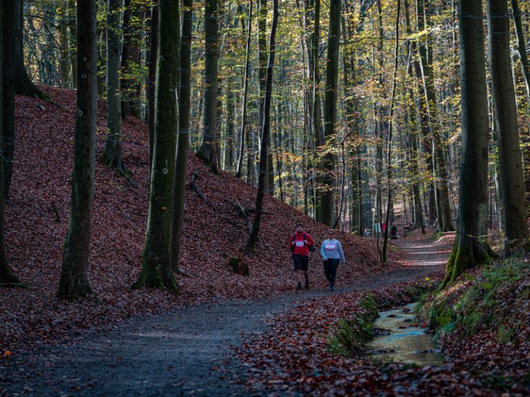 New Walk des Trois Bornes